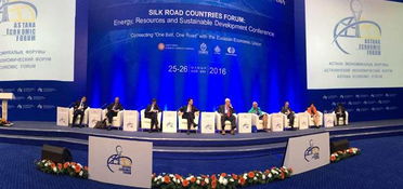 藍(lán)迪國際智庫出席博鰲亞洲論壇能源資源與可持續(xù)發(fā)展會(huì)議暨絲綢之路國家論壇